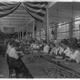 Image for article titled Colt's Original Gun Factory and Its Quirky Utopian Village Are Rotting